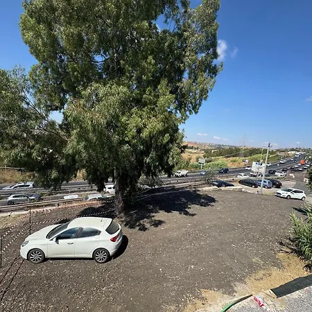 Palme * Misterbianco