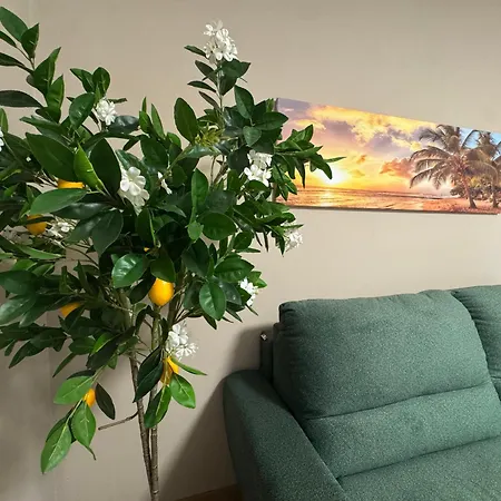 Palme شقة *