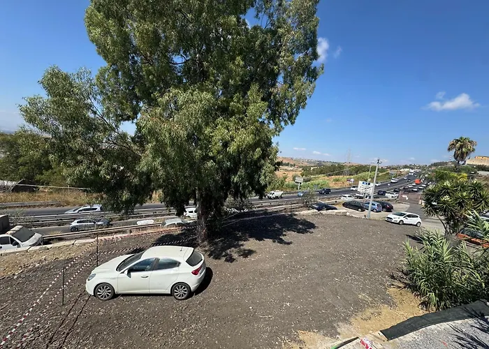 Palme * Misterbianco