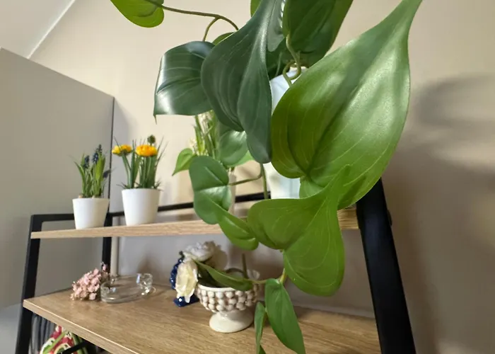 Palme Apartamento Misterbianco